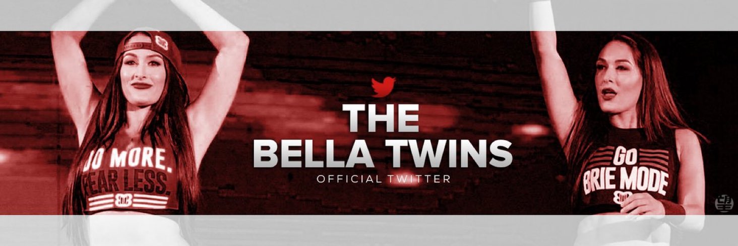 Ayyy Happy Birthday to the Bella Twins  