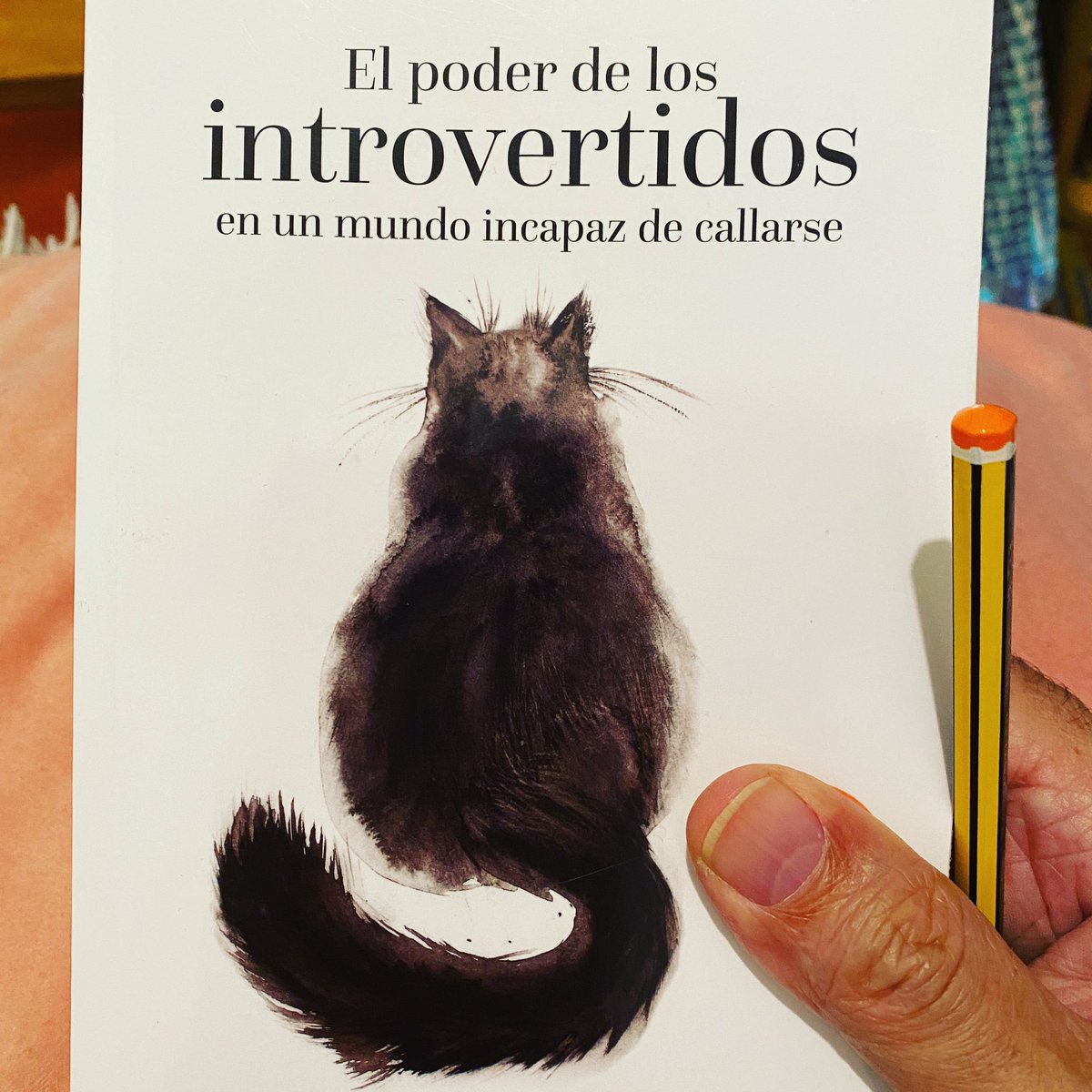 _Sirolopez_'s tweet photo. En las aulas podemos encontrarnos con alumnado hipersensible, hiperreactivos, tímidos,... El poder de los introvertidos en un mundo incapaz de callarse #susancain @susancainauthor .
#timidez #hipersensibles #creatividad #resiliencia #lecturasrecomendadas https://t.co/kdoeyIVwyz
