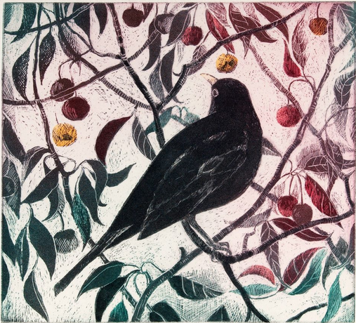 womensart1's tweet photo. 'Blackbird in the crabapple tree' by Pamela Grace, artist and print-maker based in southwestern Scotland #WomensArt https://t.co/UciXOyJut8