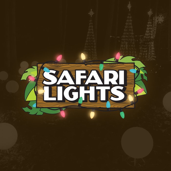 Safari niagara discount coupon