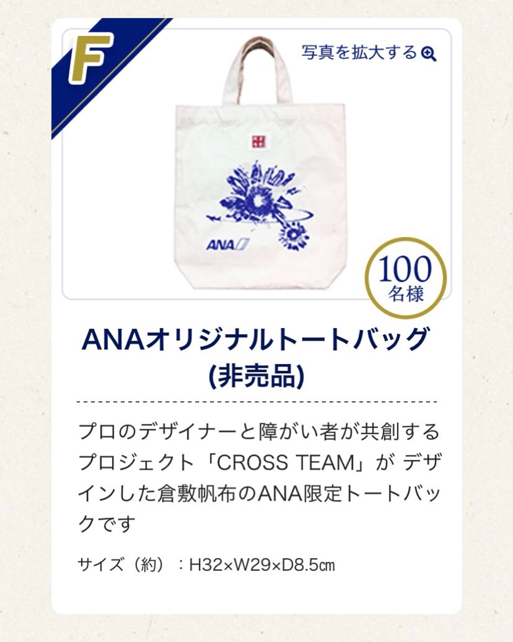素晴らしい価格 ANAロゴ入り バックインバック gruponebraska.com.br