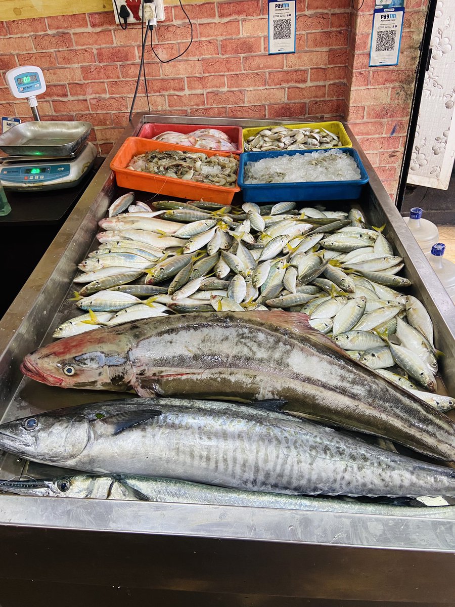 StoreIfish's tweet photo. Dear Customers Pazhaverkad Fresh Export quality Fishes Prawns just arrived at our Store 🐠🦐✨🌟 https://t.co/NhNzVexmzM