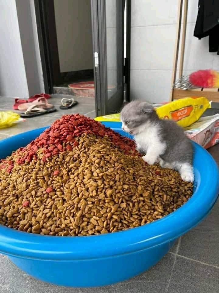 NavyO_O's tweet image. อ่าาา อุอุ ว่ะฮ่าๆๆ อ่าาา แกรบๆ