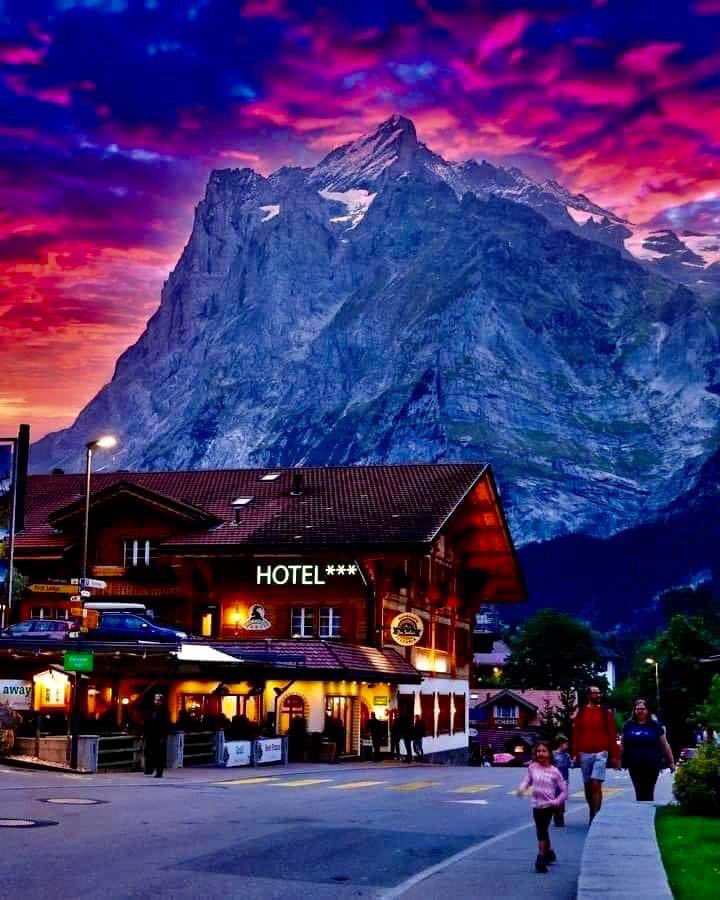 RobertoAbanto's tweet photo. Nature for You. https://t.co/HV9GEgumfg