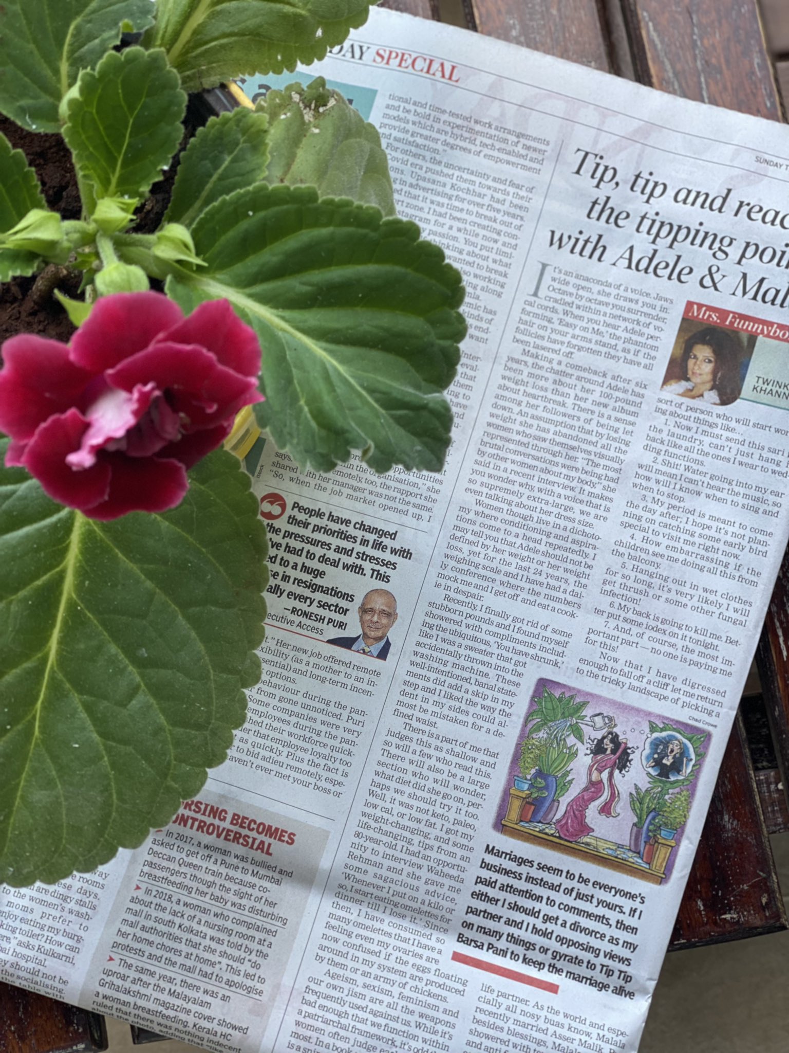 Twinkle Khanna on X: The reasons for singing Tip Tip Barsa Pani to my  plants and why we should all, along with Malala, join Adele in crooning,  'Go easy on me.' My