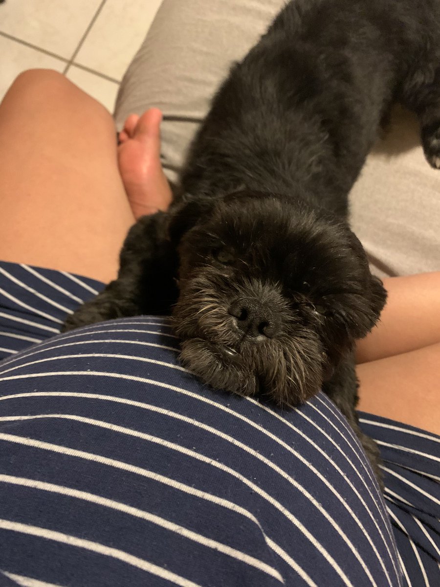 NitzaDN's tweet photo. Desde que estaba en la panza Monkey ya la quería 🥰 https://t.co/O556BtBjMB