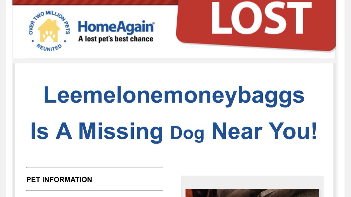 keeney799's tweet photo. can i just politely say that i really, really hope you find your dog and that they are found safe and healthy, but like, they ran away because of their name bro https://t.co/A7NovU0FP6