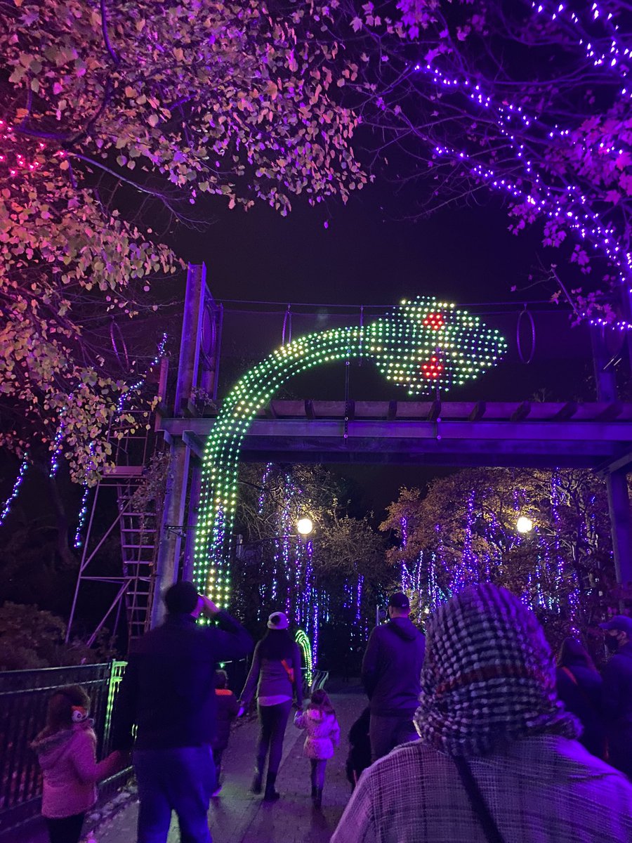 BigTimeDnP's tweet photo. Fun night at the @phillyzoo seeing the  #LumiNature! 😊 https://t.co/fyK3gpJRA3