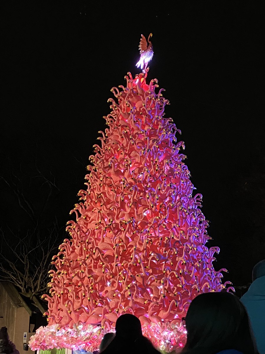 BigTimeDnP's tweet photo. Fun night at the @phillyzoo seeing the  #LumiNature! 😊 https://t.co/fyK3gpJRA3