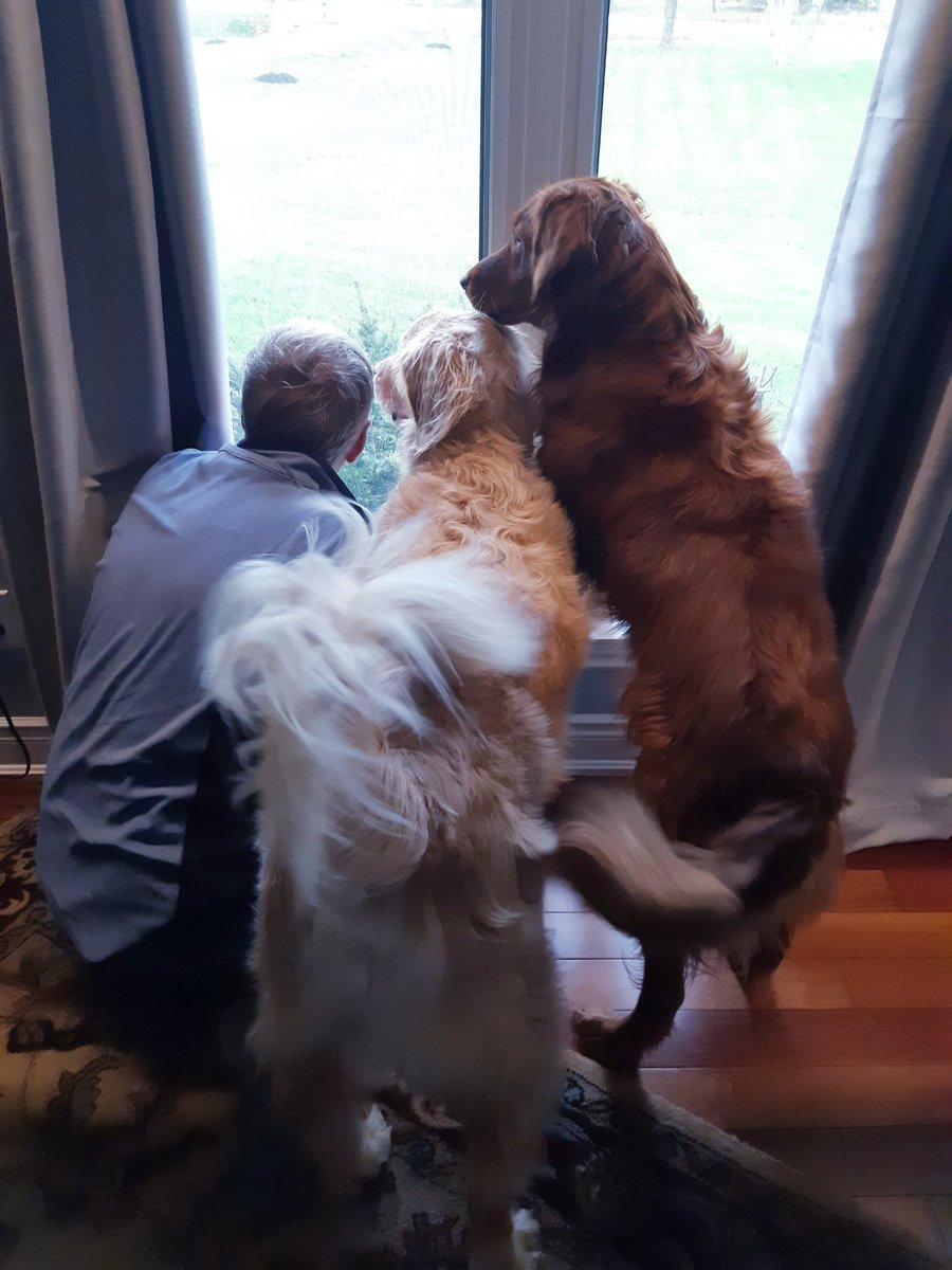 Dean Maahs tweet media