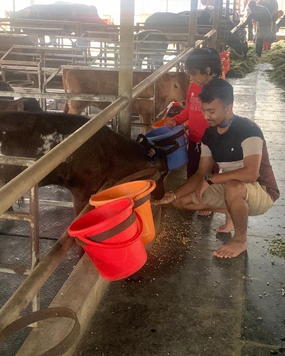 akshayakalpa's tweet image. Life isn’t only about waiting for the storm to pass..it’s also about learning to play and dance in the rain, to be a child all over again…
.
.
#akshayakalpa #organicfarming #rainplay #happychildren #farmvisit