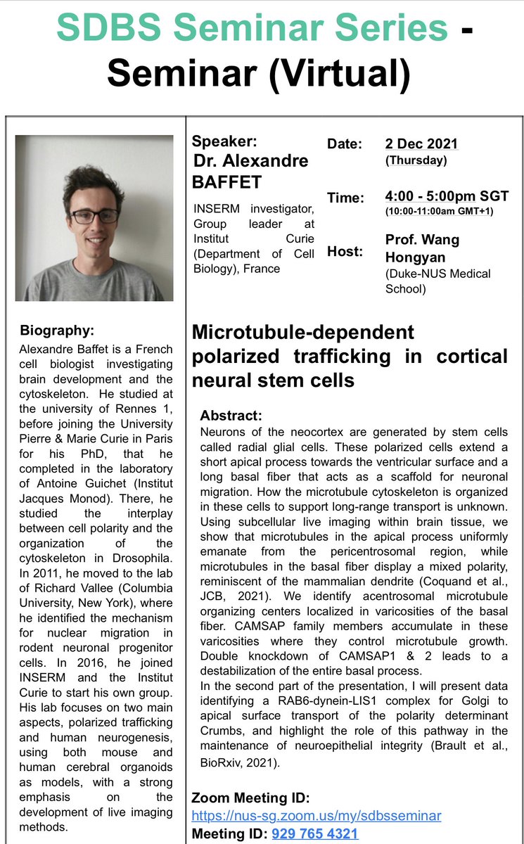 Society of Developmental Biologists Singapore (@devbio_sg) on Twitter photo Look forward to @Alex_Baffet’s <a href="/devbio_sg/">Society of Developmental Biologists Singapore</a> seminar on microtubule-dependent polarized trafficking in neural stem cells! <a href="/HongyanWang9/">Hongyan Wang</a> <a href="/phil1pingham/">Philip Ingham</a> <a href="/onsunlau_nus/">On Sun Lau</a> <a href="/NSCRL_NNI/">Neural Stem Cell Research Lab</a> <a href="/fengwei_yu/">Fengwei YU</a> <a href="/Yusuke_Toyama/">Yusuke Toyama</a> <a href="/TimESaunders/">Timothy Saunders</a> <a href="/MonteiroLab/">Antonia Monteiro</a> Look forward to @Alex_Baffet’s <a href="/devbio_sg/">Society of Developmental Biologists Singapore</a> seminar on microtubule-dependent polarized trafficking in neural stem cells! <a href="/HongyanWang9/">Hongyan Wang</a> <a href="/phil1pingham/">Philip Ingham</a> <a href="/onsunlau_nus/">On Sun Lau</a> <a href="/NSCRL_NNI/">Neural Stem Cell Research Lab</a> <a href="/fengwei_yu/">Fengwei YU</a> <a href="/Yusuke_Toyama/">Yusuke Toyama</a> <a href="/TimESaunders/">Timothy Saunders</a> <a href="/MonteiroLab/">Antonia Monteiro</a>