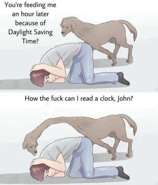every dog after daylight savings 🤠

#doggo #daylightsaving #aedt