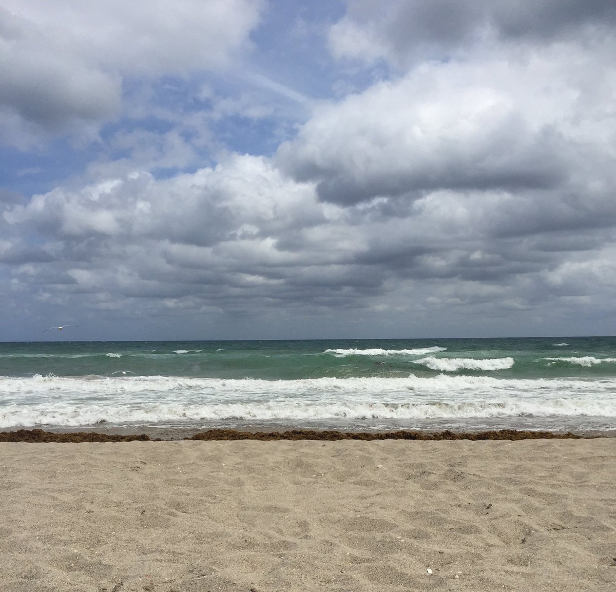 Und noch mehr Meer#Meerfürdich