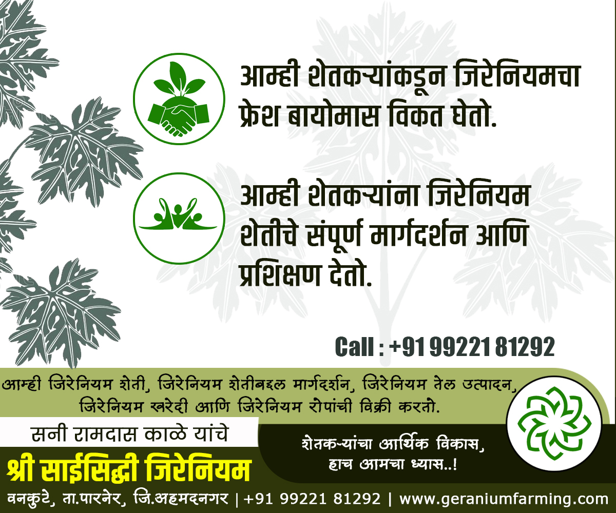 GeraniumFarming's tweet photo. श्री.साईसिद्धी जिरेनियम, वनकुटे, पारनेर, अहमदनगर.
शेतकऱ्यांचा आर्थिक विकास, हाच आमचा ध्यास..!
जिरेनियम शेती, जिरेनियम तेल उत्पादन, जिरेनियम शेती प्रशिक्षण व मार्गदर्शन, जिरेनियम खरेदी, जिरेनियम रोपांची विक्री.
#GeraniumFarming
https://t.co/XXSCNUB8rZ @ilovenagar https://t.co/zZqjl4RQyK