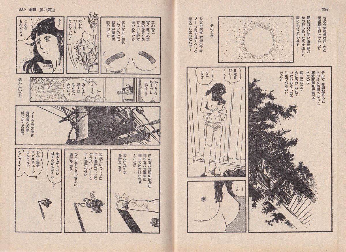 →そして「風の周辺」は、翌5月号第二話から何の脈絡もなく全く別の現代高校生男女の物語になる謎展開
(5月号以降掲載分は「風の周辺」として真崎守選集19「残照」に収録)
打切りとなった作品(風漂花)の再生産orスピンオフを、別雑誌で試みたものの気が変わり止めたということなのでしょうか?