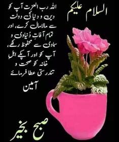 @0_786B @0MNS29 @Nmr_A1 @MYasiR_1 @MYahyakh @Wasi_600 @Lodhi_FSD @Abeef_2 @MNA_313 @1MSQ7 @214Amin @Mqshi0 @92_nrk @ilQil__ @Shag14_ @rafzl1 @0Ain1 @NSC__01 @102Pmln @Aftabkj3 @Asimsh123 @SMTSahiwal @jugnu60933831 @ShakilB21016165 @malikba53398718 صباح النور۔ سلامتی ہو آپ پر