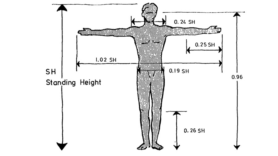 Stand height. Размеры человека. Chelovek ergonomika. Габариты человека. Размер человека с раскинутыми руками.