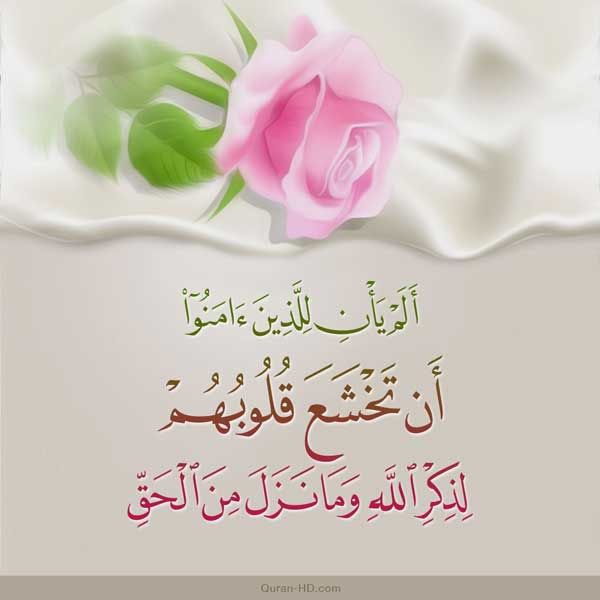 DrAmrWael's tweet photo. @AwadAldarmaki https://t.co/55aPKYSc9n