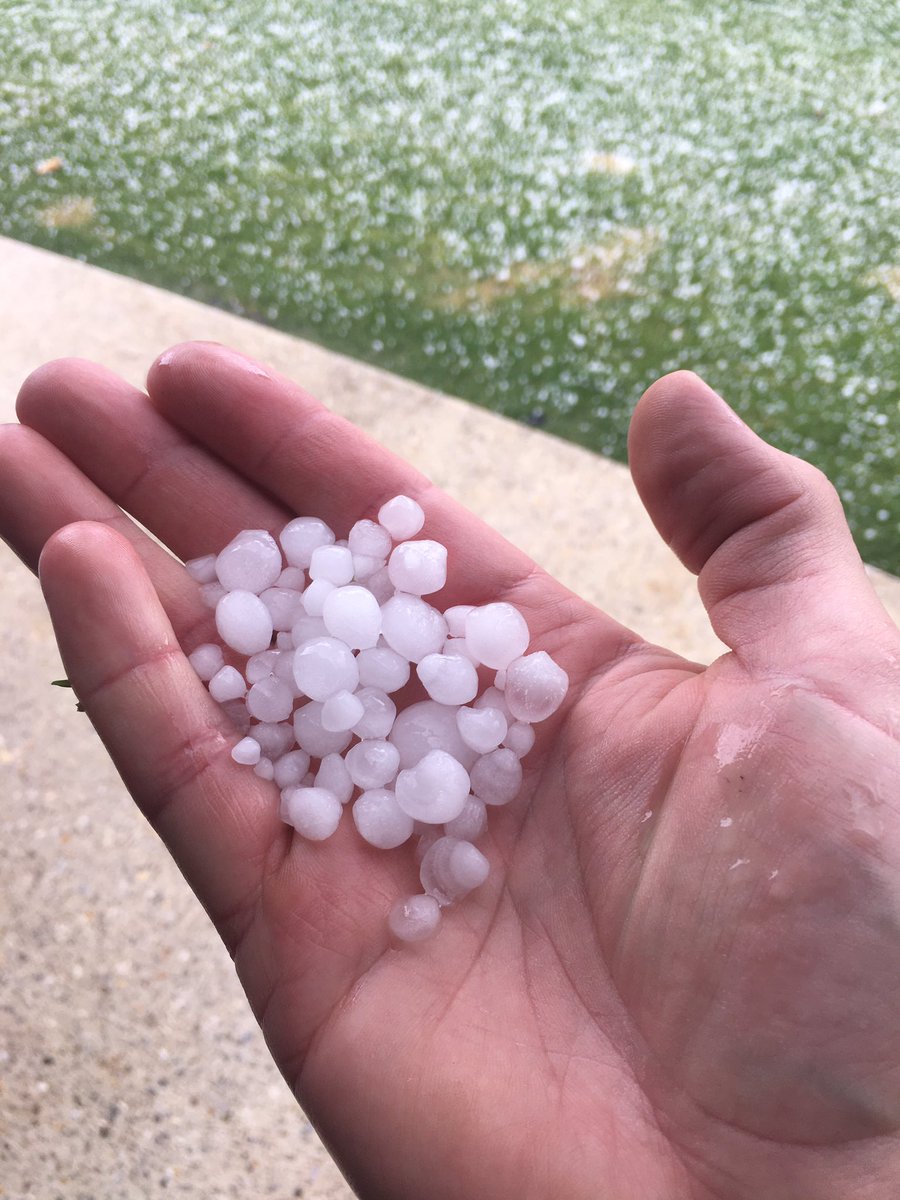 birdmandan1231's tweet photo. @BOM_WA Nice hailstorm with passing cell at Aravina Estate near Yallingup at approx 1240 PM. Hailed for approx 8 mins. Largest stones around 2,5 cm but vast majority <1,5 cm. Nearly covered the ground. https://t.co/HzB4DcKeOT