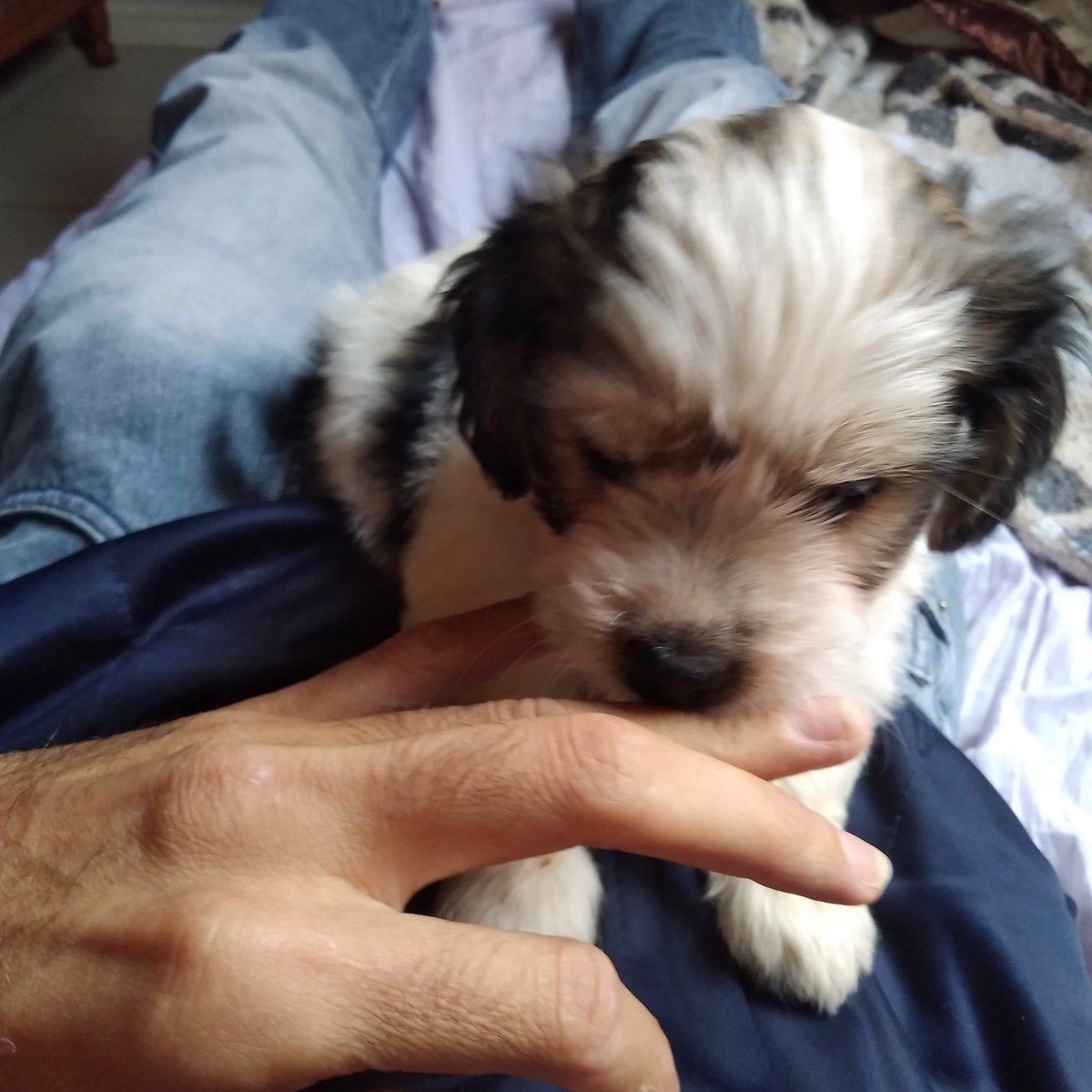 Neilton82025724's tweet photo. @LaraJu18 Olha tô até comendo, quando ela fica maior... mais faiz parte de boa ,olha tenha um ótima madrugada de sábado...e um ótimo domingo pra vc também ok . https://t.co/ZSfTYscdQg