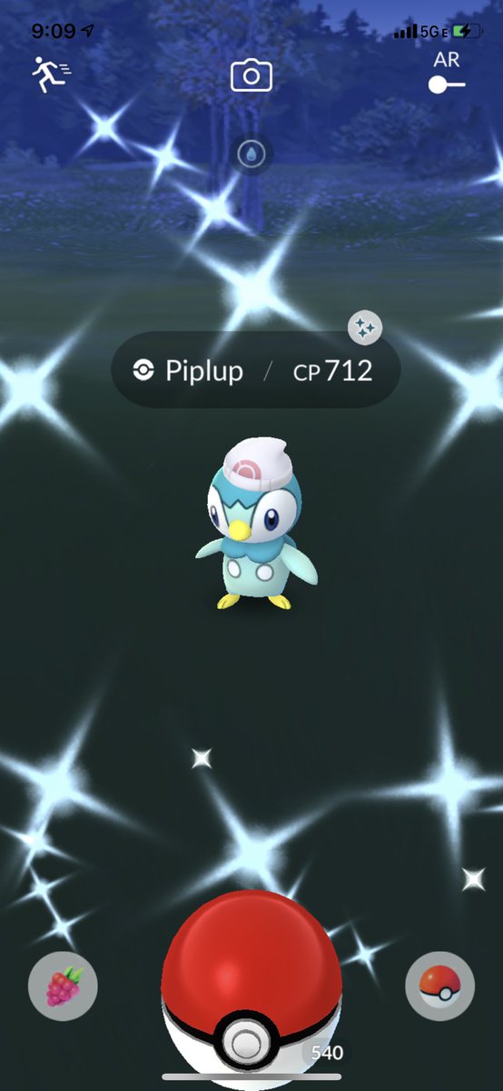 JoltyJon13's tweet photo. Ooooo yay! Of the six different #shinyhat #SinnohStarters this is the combo I wouldβve wanted π₯° #shinyhunting #PokemonGo #Sinnohevent #shinyPiplup https://t.co/T6jkvuKppf