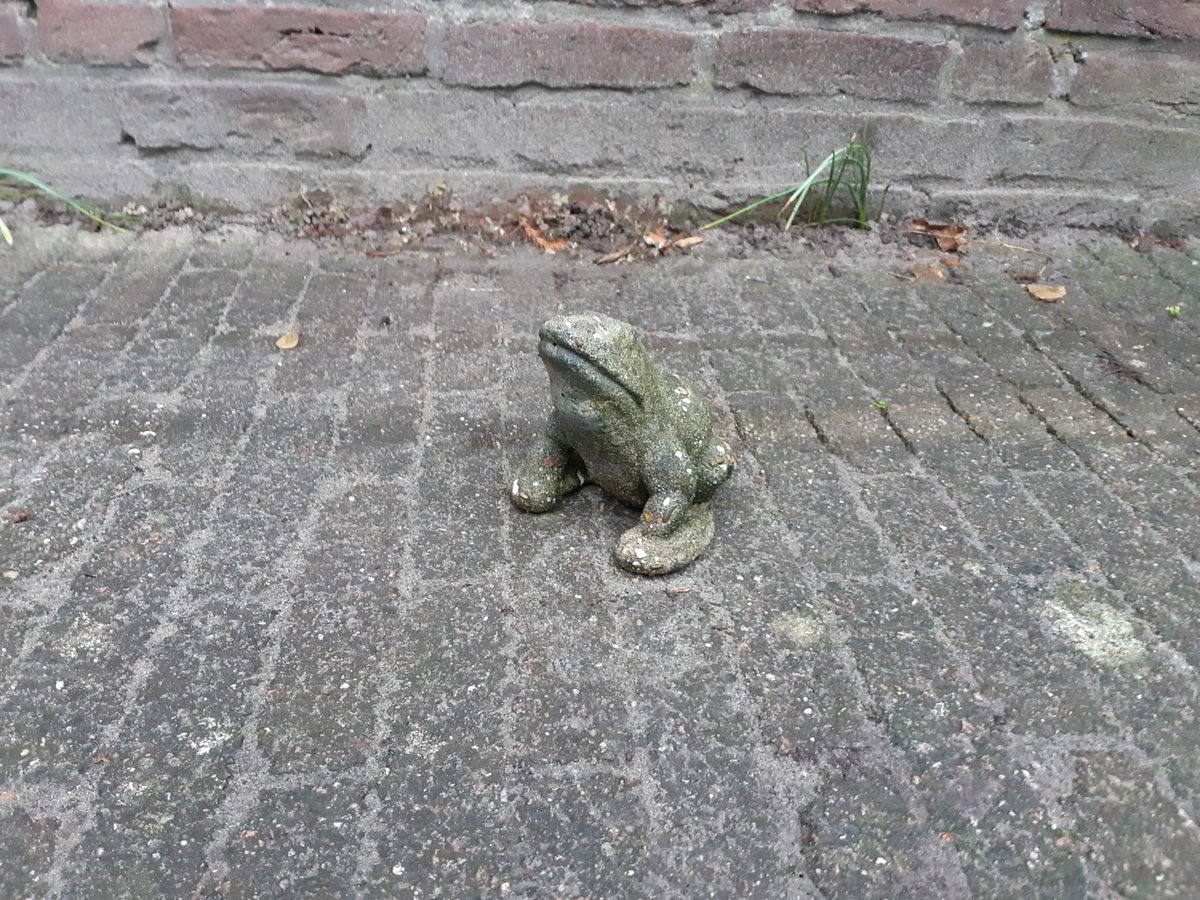 dodsicle's tweet photo. I found this little statue on my doorstep this morning. It is a Toad!! πΈ
Very surreal, especially since I was tweeting about #toadchella yesterday and I wished for a @cryptoadzNFT
Did the wish fairy make a mistake? πͺπ«
I am just glad I did not wish for an Ape! https://t.co/LHS6PilxTM