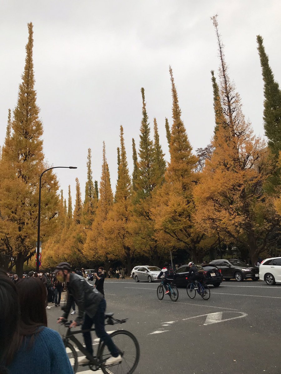 uyu_022's tweet photo. 紅葉にいって気分高揚 https://t.co/lbrWhD9q42