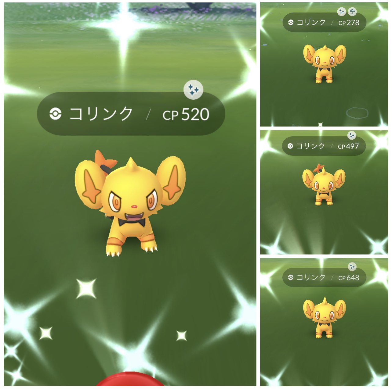 マサハル 図鑑がgold コリンクの中にピンプク 進化させてキラ交換かなぁ ポケモンgo コリンク ピンプク マネネは次の機会に T Co Mdo1ywjd4d Twitter