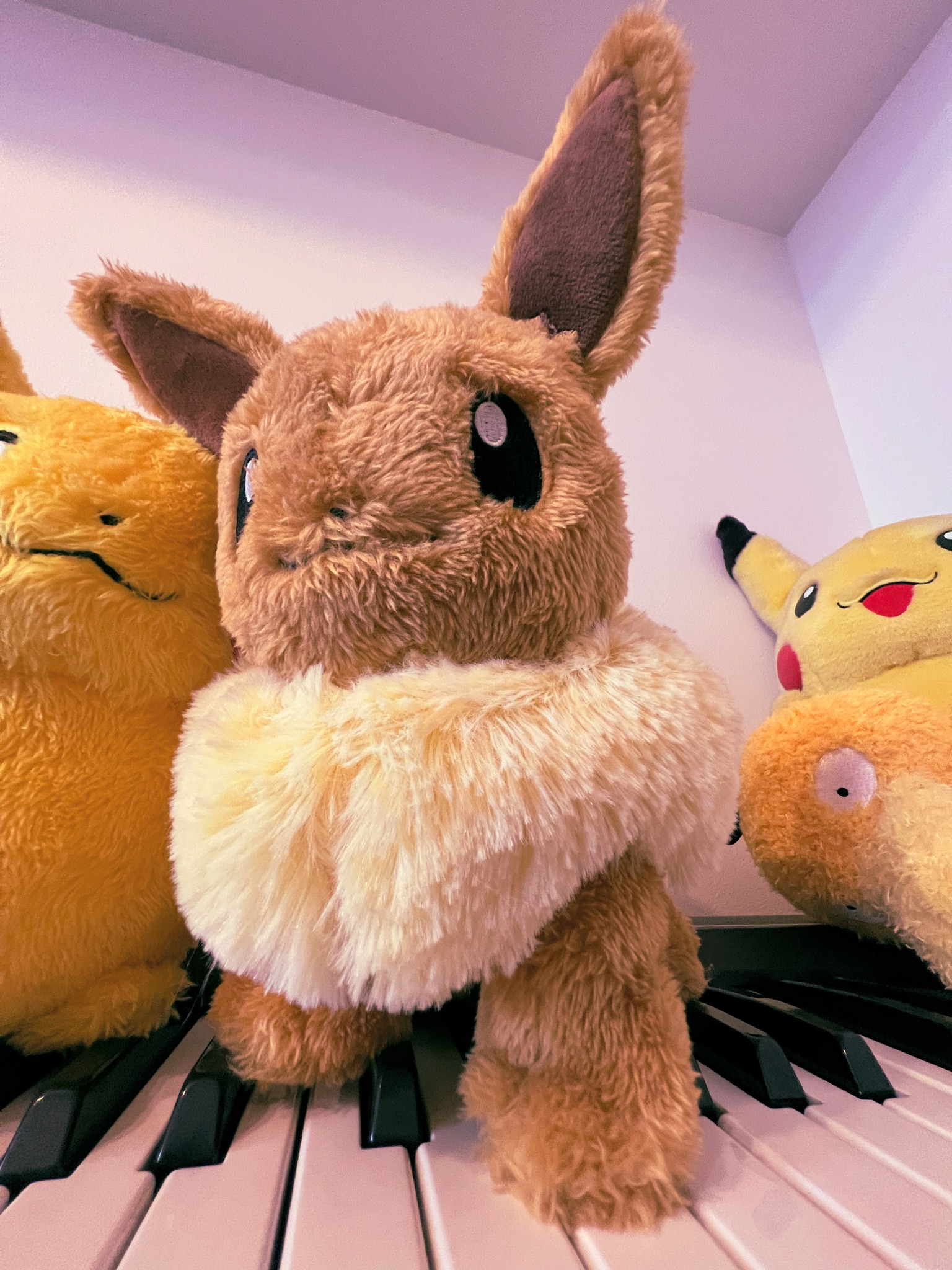 増田順一 Pokemon 本日 11月21日は イーブイの日 そして 金銀 ルビサファ Orasの誕生日 Happyeeveeday T Co Vhblsbneki Twitter