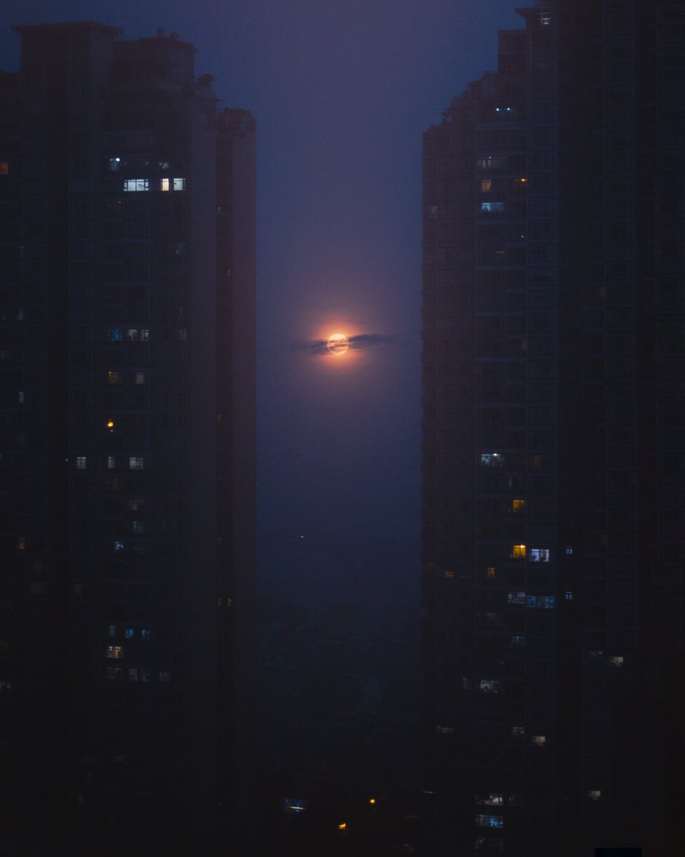 dreamer at day, imsomniac at night