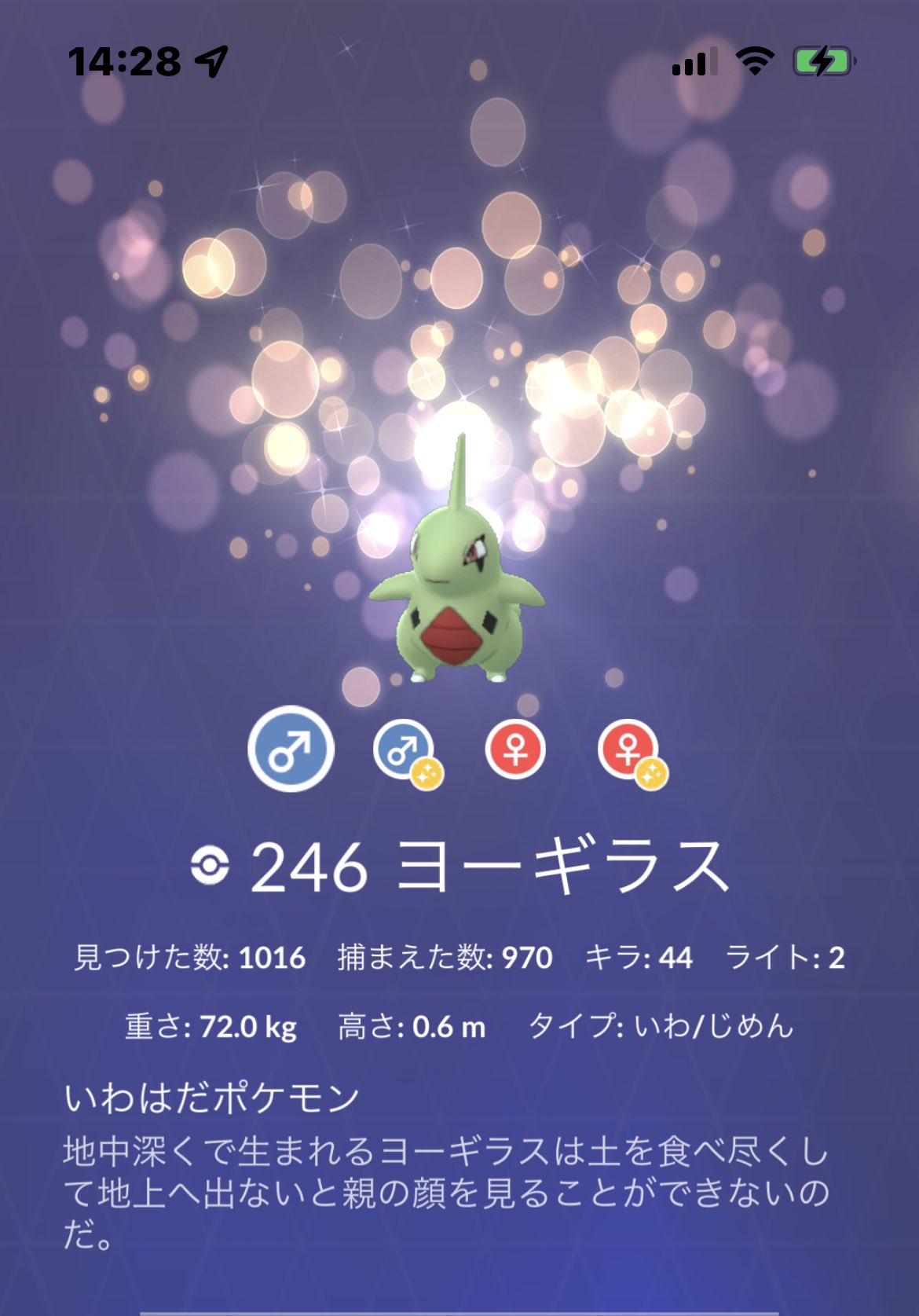 ﾖｰｷﾞﾗｽ Twitter Bilaketa Twitter