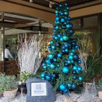 ツイートに含まれる画像