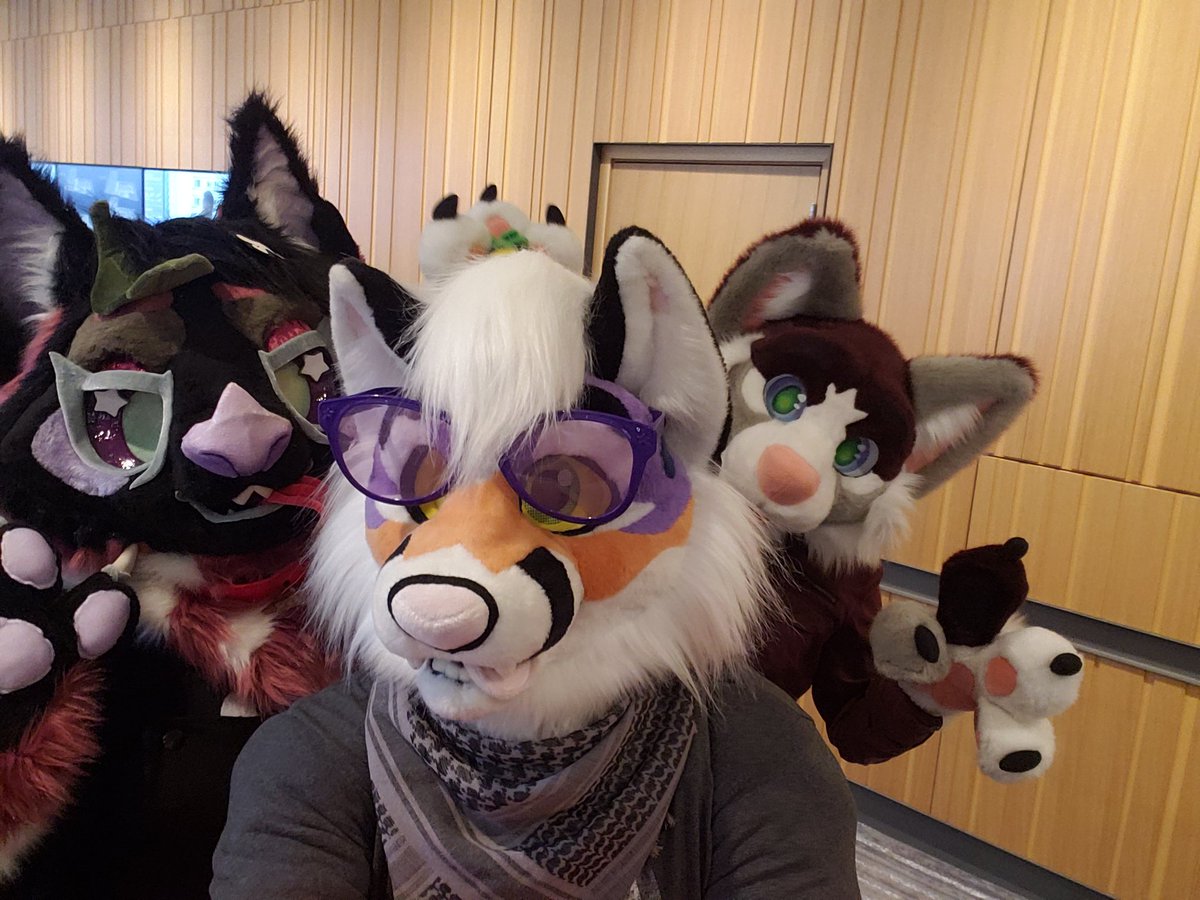 _SODA_P0P_ (@p0psoda) on Twitter photo I really am enjoying these #freepics with <a href="/AshlandFox/">Ashland Fox</a> if you see us yell freepics we will probably run towards you. #ANW2021 I really am enjoying these #freepics with <a href="/AshlandFox/">Ashland Fox</a> if you see us yell freepics we will probably run towards you. #ANW2021