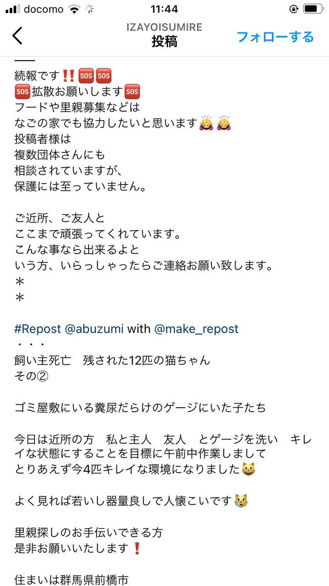 konchanlove0624's tweet photo. 🆘飼い主さんが先立たれ猫ちゃん達が
残っ���いるそうです🆘

里親様ご希望の方いないでしょうか？
譲渡条件等あると思いますので、
愛情を注いで下さる方がいらっしゃいましたら投稿元様へご相談メッセージをお願いいたします🙇‍♂️

#里親募集　#里親　#多頭飼育崩壊　#保護猫　#猫　#猫レスキュー https://t.co/LdQb4KzLSw