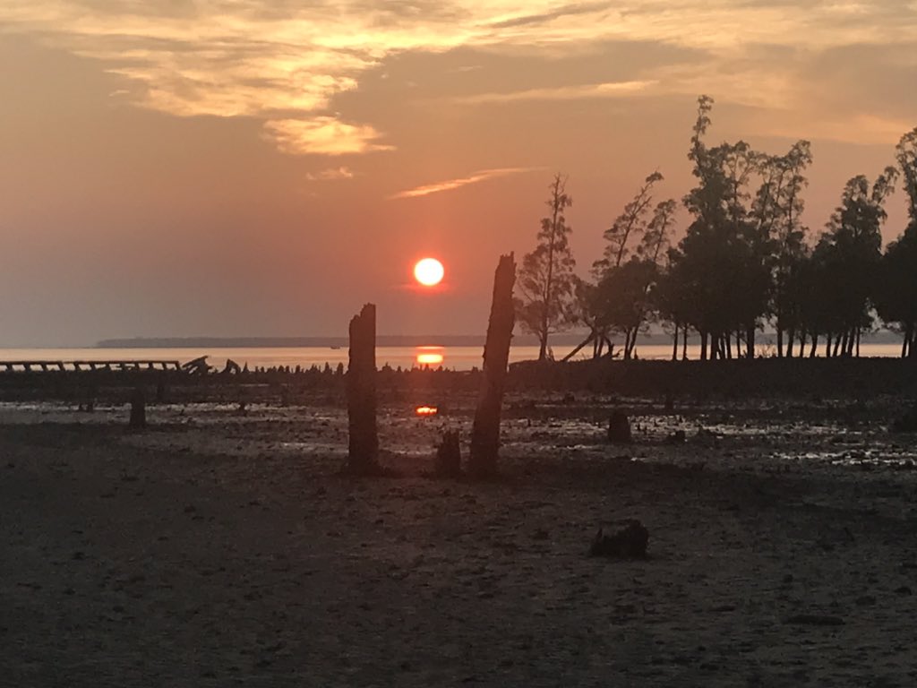 RCDicksonUK's tweet photo. Fantastic couple of days in the southern Sundarbans enjoying the restorative power of the natural world. Great to see the effort being being made to protect this 🇧🇩global example of a Nature Based Solution https://t.co/4ahhzhzbMO