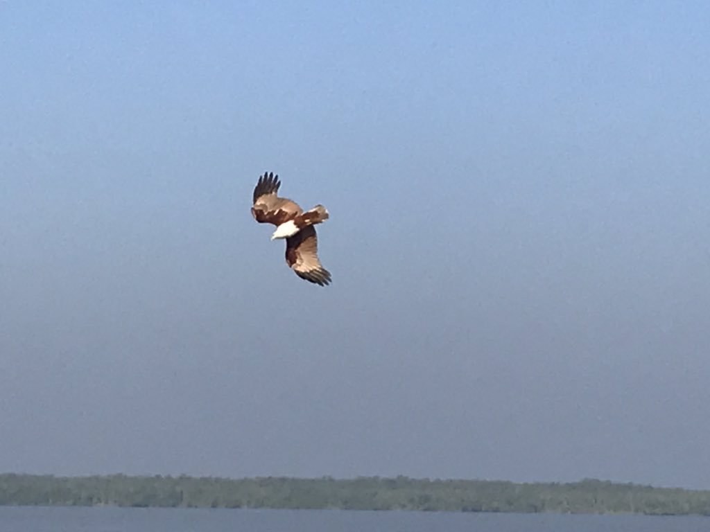 RCDicksonUK's tweet photo. Fantastic couple of days in the southern Sundarbans enjoying the restorative power of the natural world. Great to see the effort being being made to protect this 🇧🇩global example of a Nature Based Solution https://t.co/4ahhzhzbMO