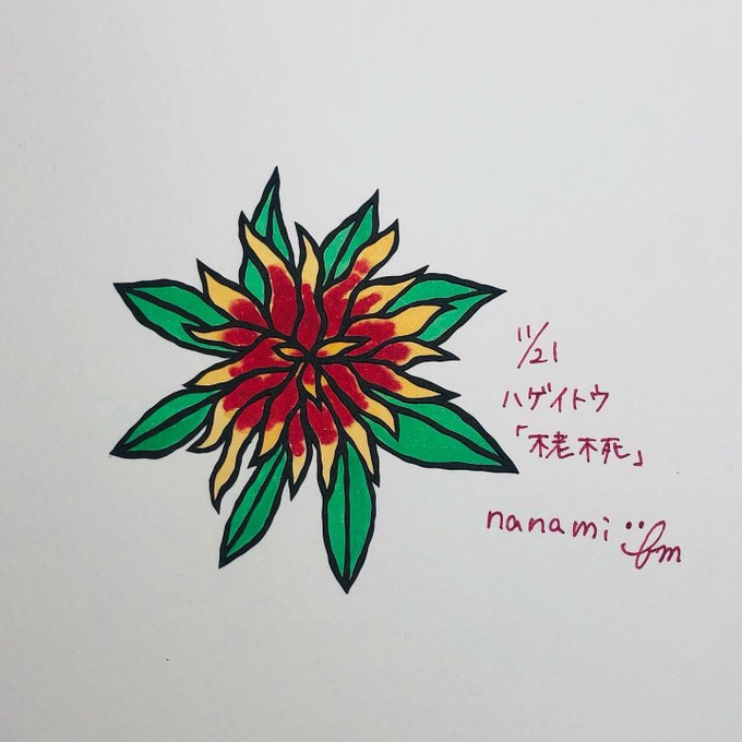 ハゲイトウのtwitterイラスト検索結果