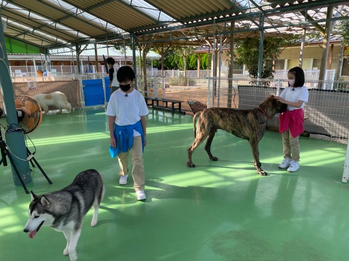稲垣来泉のTwitter画像57