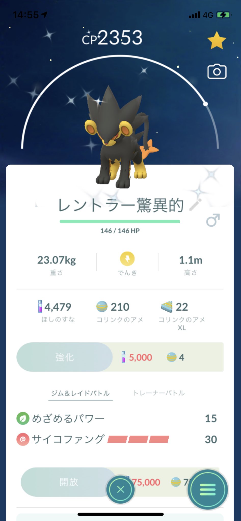 レントラー色違い Busqueda De Twitter Twitter