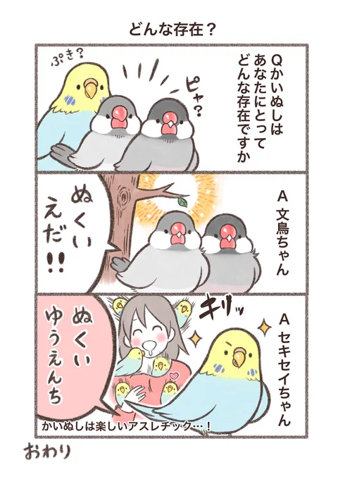 マンガ「どんな存在?」🦜🐥🐥❓

#文鳥 #漫画が読めるハッシュタグ 
