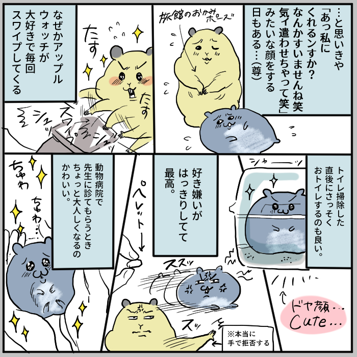 ハムスターとの暮らし 