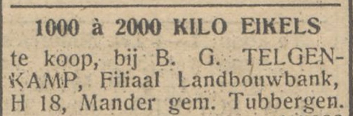 Weetje: achternaam Telgenkamp is ontleend aan oude akkertjes waarop eikels werden uitgezaaid en opgekweekt tot jonge boompjes (telgen), die na 10 jaar uitgeplant werden in het bos. In 17e eeuw gold per buurtschap de plicht om jaarlijks een telgenkamp in te zaaien.