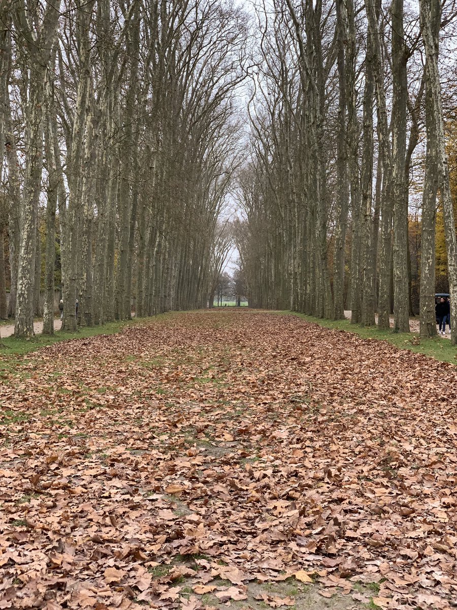 Gardens of Versailles Palace, Paris. 17th Cen. Designed by Andre Le Notre.

#Versaillesgardens #paris #Versaillespalace #landscapephotography