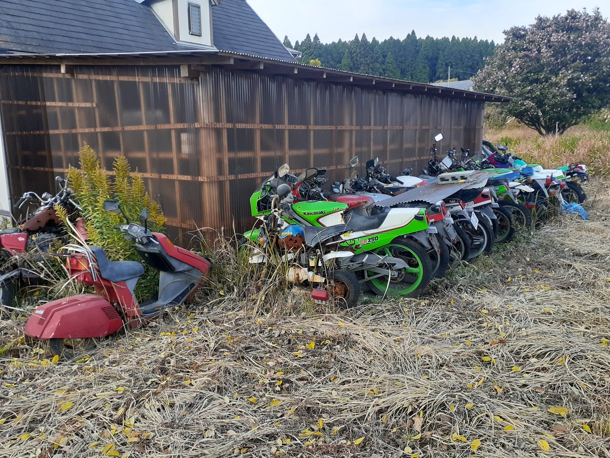 cjaAM4aVCXjsHHH's tweet photo. #お宝発見‼️
#見る人が見れば宝⁉️
#KR250
#KR1
#CS250
#草ヒロ https://t.co/dq6APdBPBX