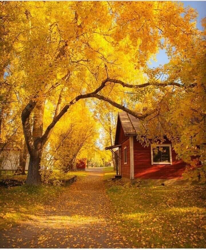 MVezoglu's tweet photo. "Bir bahçeniz olsun.
Ve mutlaka yaprak döken ağaçlar dikin.
Böylece zamanın geçtiğini daha iyi anlarsınız..."
#GÜNAYDIN 
Mutlu #pazarlar 
Sevgi dolu günler 🙏☕️🌹🧿🇹🇷🇹🇷 https://t.co/y7zNtqZJVC https://t.co/2Sj3jsVaCK