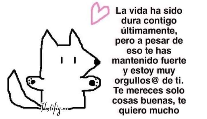 mattaquito's tweet photo. Me dan muchas ganas de cuidarte, pq estás chiquita y el mundo es cruel.
/Cry https://t.co/aUBc8OEHOU