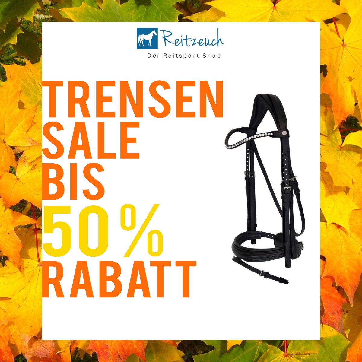 reitzeuch's tweet photo. Wir halten die Preise im Zaum! Entdecke unseren Trensen Sale bis zum 28.11.2021. https://t.co/vgmqzYrwPB https://t.co/h7GsDAHOr8