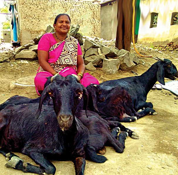 EmpoweredPoor's tweet photo. 9 Days Till Giving Tuesday - Your Donation Can Help A Women, Her Family And A Community  https://t.co/D5fQzDmEnD https://t.co/3AAesa1Dea