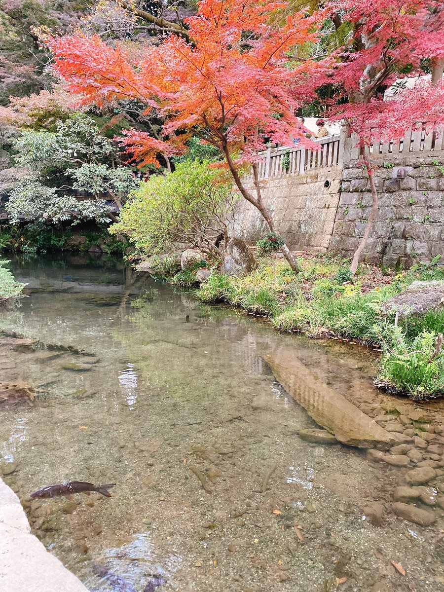 深大寺まで移動してきたわよ 